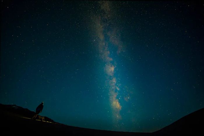 Stars shining over the Great Sand Dunes, Colorado, USA