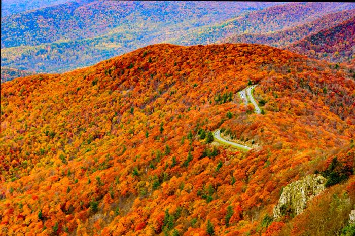 Skyline Drive through the vibrant autumn foliage of Shenandoah National Park, Virginia