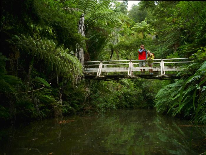 A young couple stands on a bridge amidst the lush rainforest of the Waitākere Ranges Park