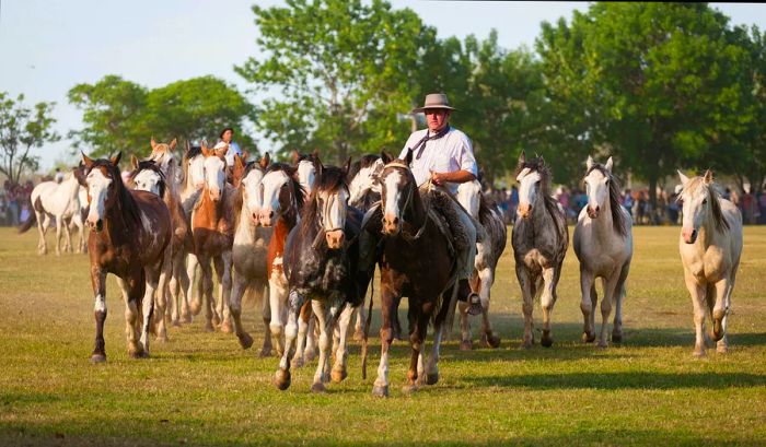 Gauchos at the Fiesta de la Tradicion in San Antonio de Areco