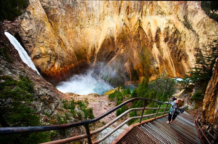 Yellowstone Falls at Yellowstone National Park, Wyoming