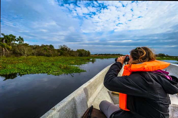 A traveler peers through binoculars from a boat at Iberá National Park, Colonia Carlos Pellegrini, Corrientes Province, Argentina