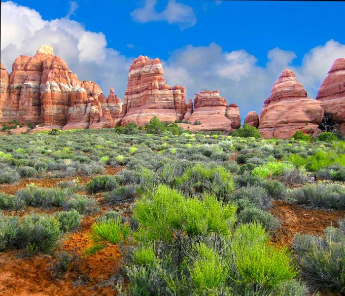 Rocky spires at Canyonlands National Park