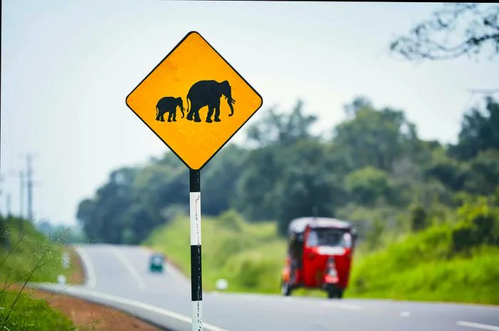 A cautionary road sign depicting two elephants