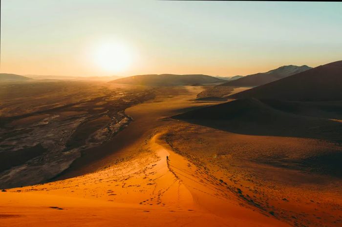 A lone silhouette against the vast red sand dunes of the Namibian desert