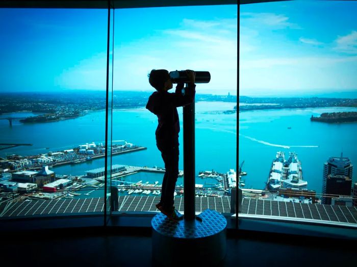 A teenage boy stands on tiptoes, peering through a telescope at the Sky Tower in Auckland, silhouetted against the backdrop of large ships docked in the waters below.