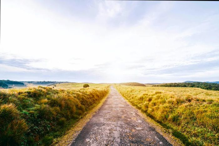 An expansive road stretches beneath the vast sky at Horton Plains National Park, located in Central Province, Sri Lanka.