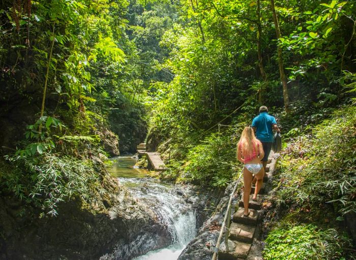 A couple hiking through the lush Fijian rainforest