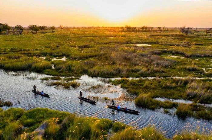 Visitors glide through flooded grasslands in mokoro canoes