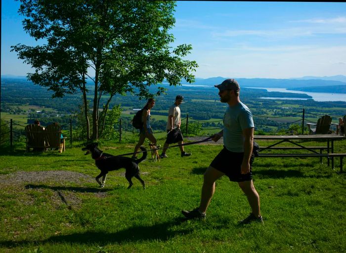 A view of hikers, some accompanied by dogs, at a scenic overlook in Mount Philo State Park, Charlotte, Vermont, with Lake Champlain visible in the background.