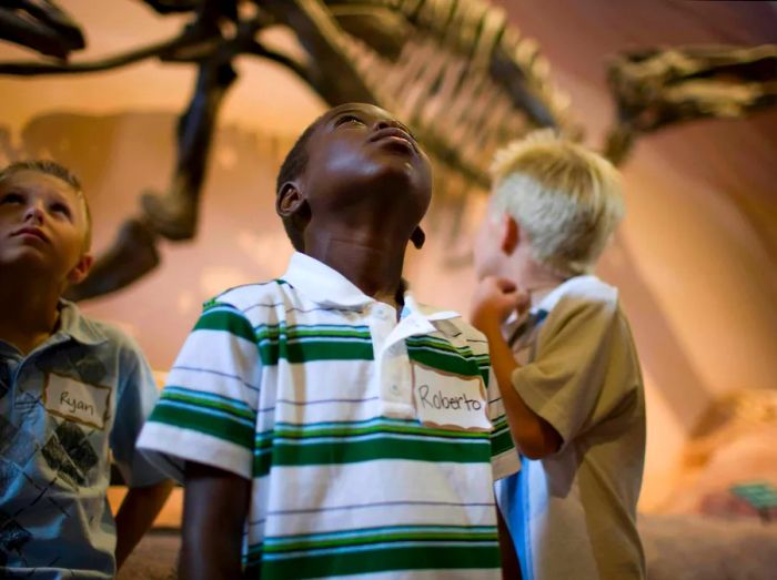 Three young boys marvel at a dinosaur skeleton at the Natural History Museum of Utah.