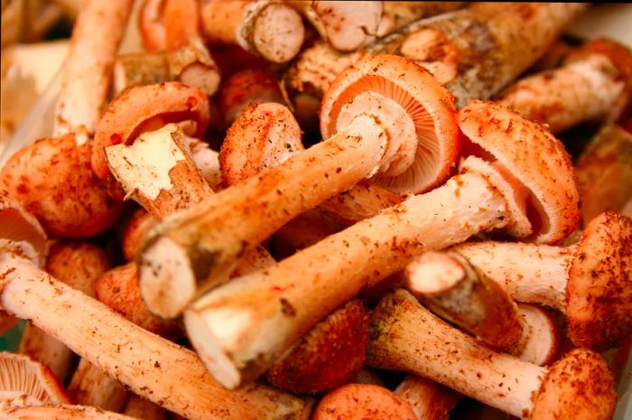 Mushrooms displayed at a market stall