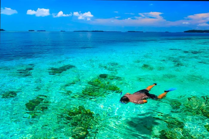 A snorkeler enjoying the vibrant waters of the Thousand Islands near Jakarta