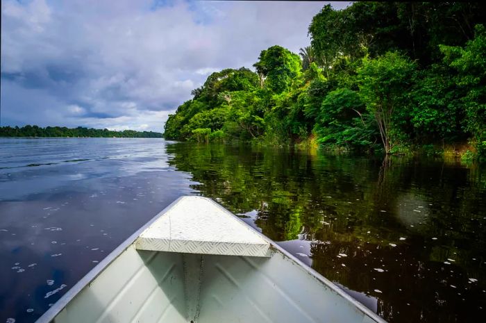 The view of the river from the bow of a boat in Anavilhanas National Park, Brazil