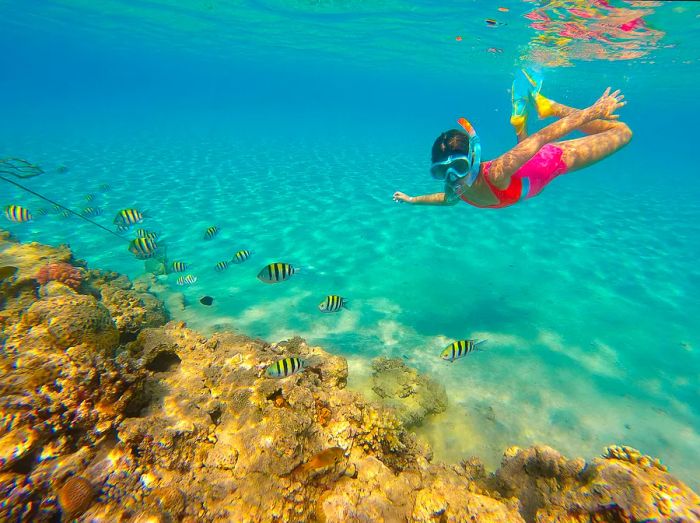 A teenage girl snorkels among the vibrant coral reefs in Hurghada, Egypt.