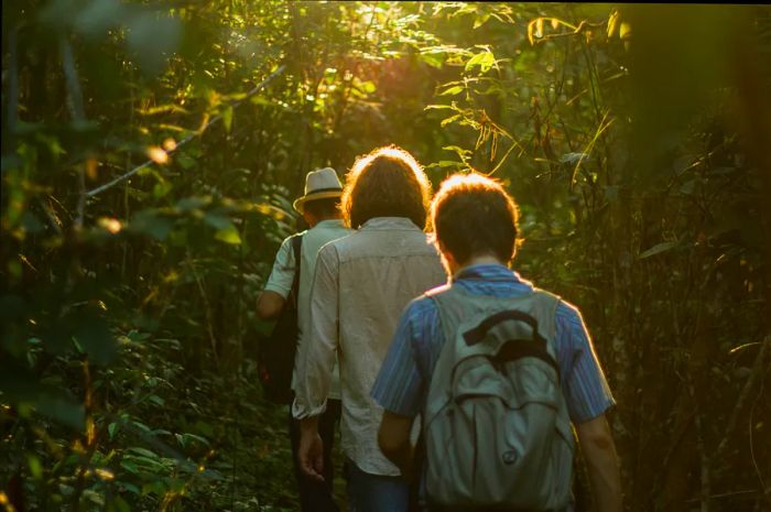 Anthropologists explore a trail in a Dessana Indigenous community on a river island close to Manaus, Brazil.