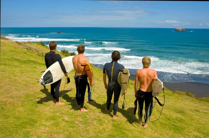 Four surfers stand atop a cliff, gazing out over the sea in Auckland, New Zealand.