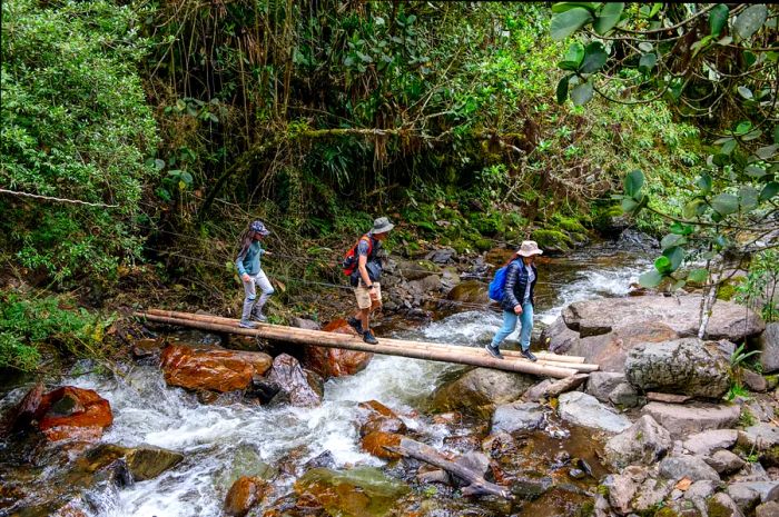 Individuals traversing a simple wooden bridge in the jungles of Valle de Cocóra, Colombia