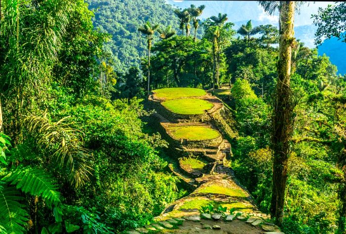 The rainforests of Colombia are vibrant and flourishing in October.