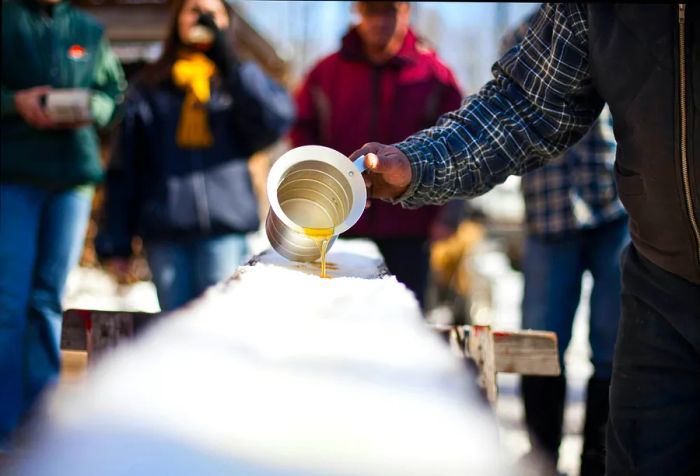 Drizzling fresh maple syrup over packed snow to create Sugar on Snow is a cherished tradition in Vermont © Stéphane Groleau / Alamy