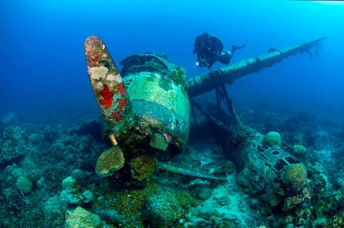 A scuba diver exploring a WWII Japanese airplane wreck resting on the ocean floor in Palau