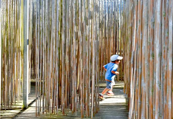 A young child running through a bamboo maze at Diverti'Parc in France