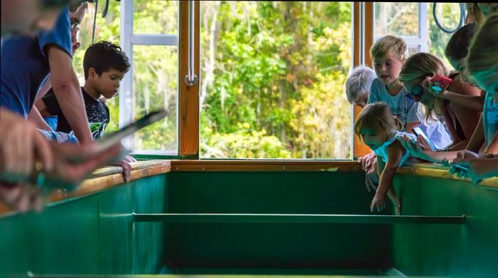 A group of kids leans over the railings of a boat, eagerly peering through the glass-bottom below