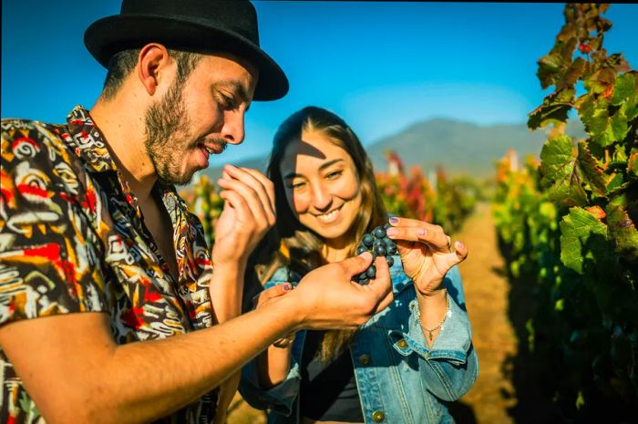 Chilean couple enjoying sunshine at a vineyard in Chile