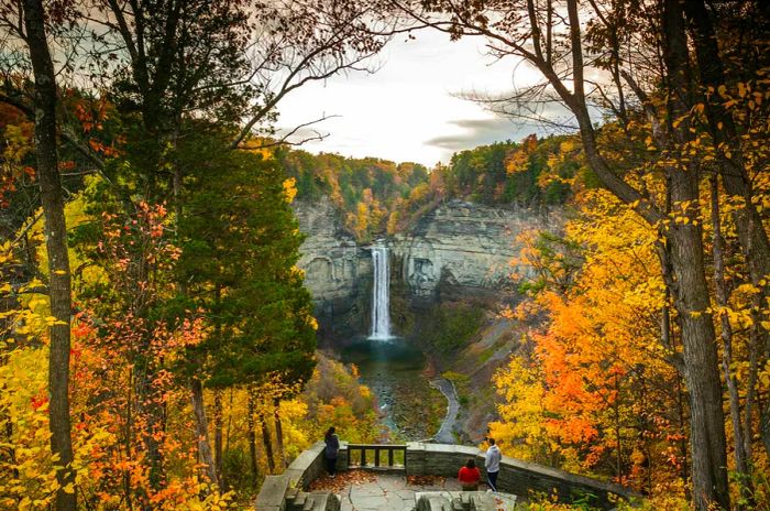 A view of Taughannock Falls waterfall surrounded by vibrant autumn foliage