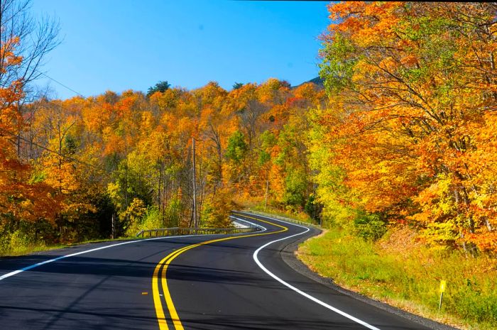 A scenic road in the Adirondack Mountains, New York State, is framed by trees showcasing vibrant autumn leaves.