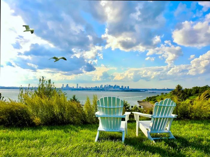 Two seagulls glide gracefully above Spectacle Island, with Boston's skyline in the background, Massachusetts, USA