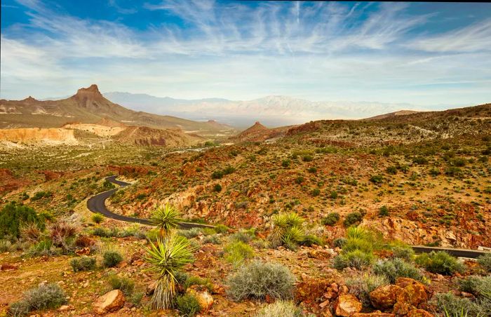 A picturesque road in the Mojave National Preserve