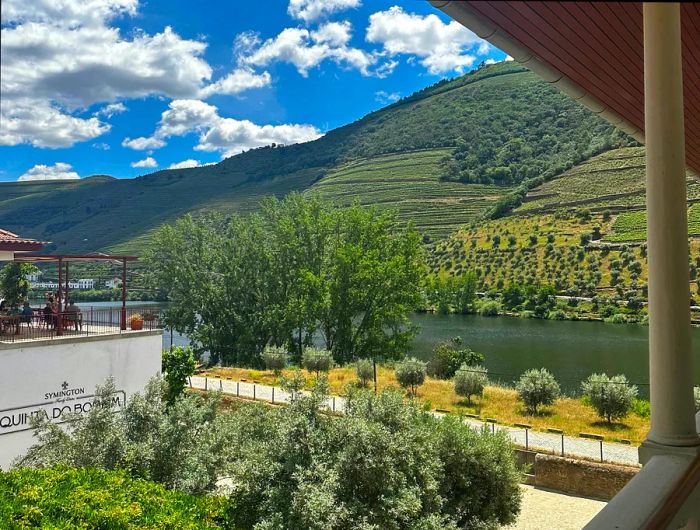 Vineyards of a riverside estate