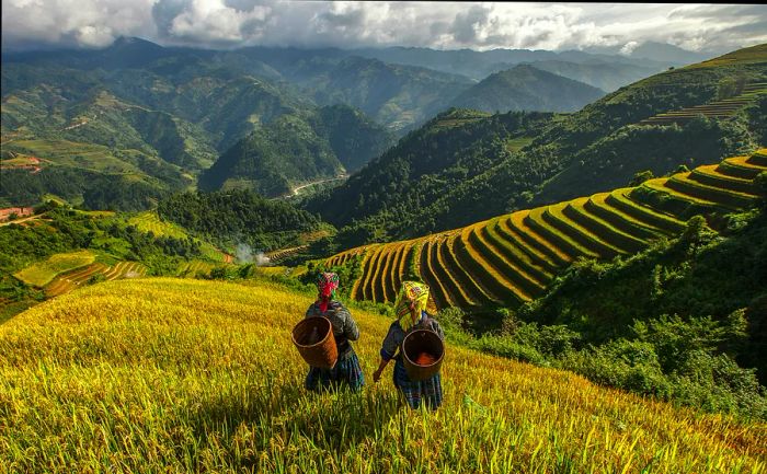 Two farmers dressed in traditional attire gaze over lush green rice terraces in a mountainous landscape.