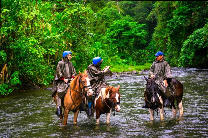 Three individuals on horseback, dressed for wet weather, as their horses stand in a river within a jungle setting.