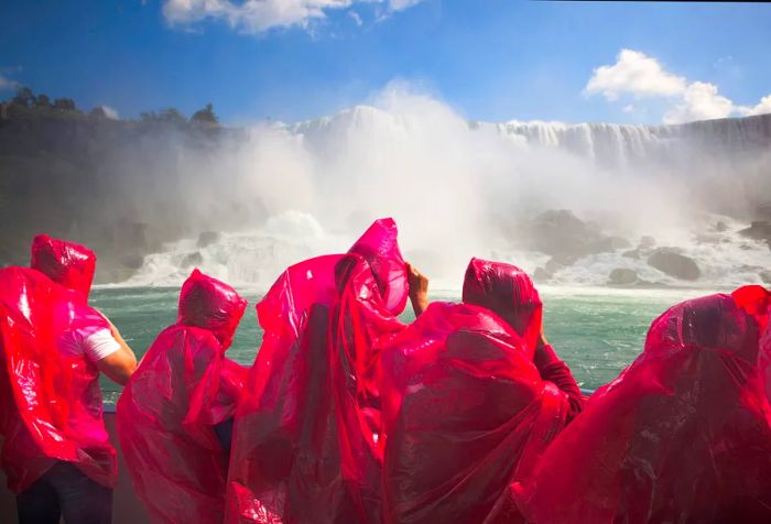 A lively group dressed in bright red plastic gear joyfully congregates around the stunning Niagara Falls.