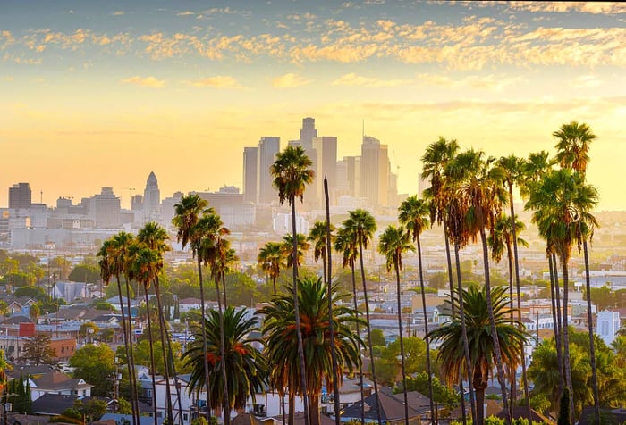 The downtown skyline framed by a mix of tall and short palm trees, set against a picturesque sunset sky.