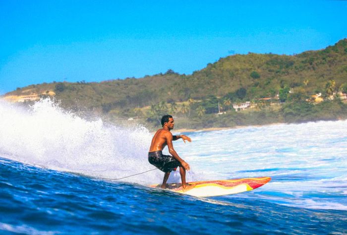 A man expertly riding the waves on a vibrant beach next to a lush island.