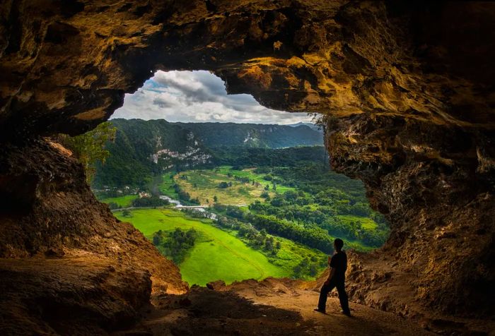 An individual gazing out from the entrance of a cave, overlooking a vibrant landscape filled with greenery and trees.