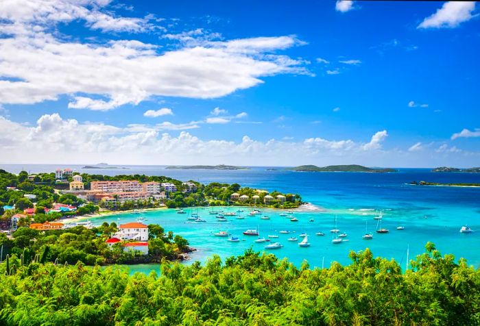 Boats scattered across the crystal-clear waters of a cove, sheltered by the island’s lush forests and buildings.