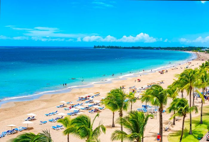 A beach lined with coconut trees, complete with umbrellas and loungers, ideal for watching the waves roll in.