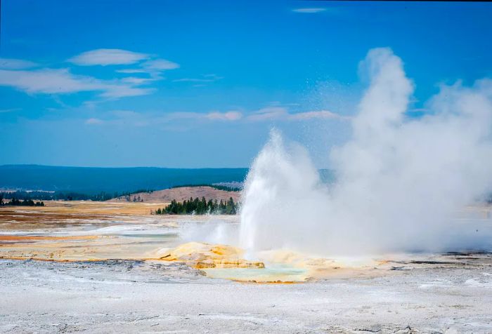 A steady stream of water erupts from a geyser's crater.