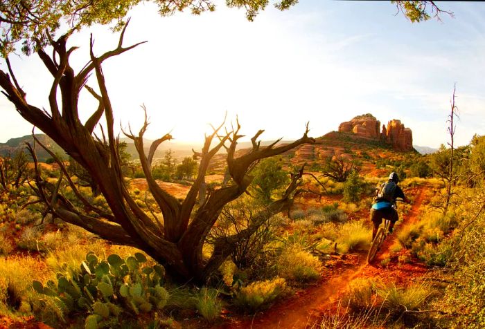 A male cyclist navigates a narrow path across rugged hills, heading toward a towering rock formation.