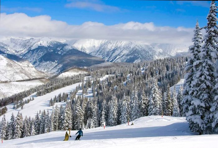 Skiers navigate a snowy terrain bordered by frost-laden tall pines, with stunning snow-capped peaks in the background.