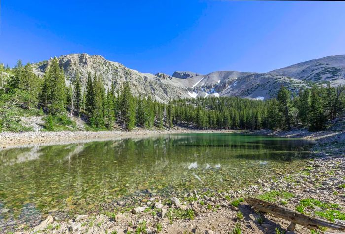 A serene lake is nestled among tall green trees, set against a backdrop of rocky mountains under a clear blue sky.