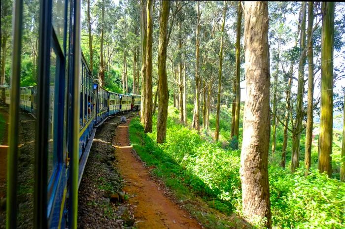 The Nilgiri Mountain Railway in Tamil Nadu, India