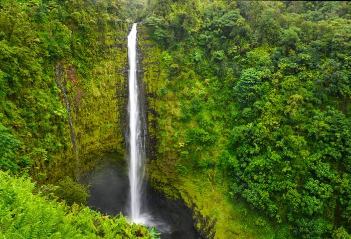 A majestic waterfall cascades from a steep, forested cliff into a misty stream below.