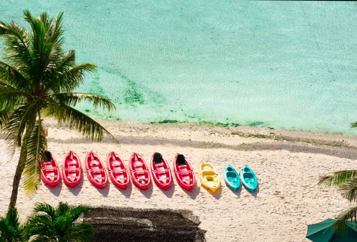 A vibrant lineup of canoes is ready for rental on the picturesque, serene beach.