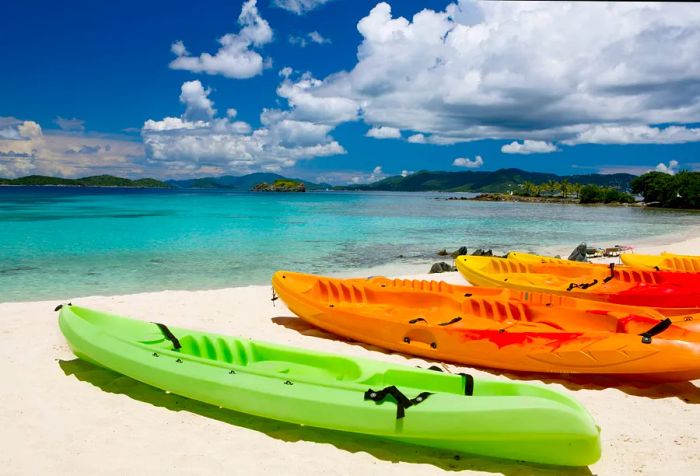 A lineup of vibrant Dinogos parked on a pristine white beach.