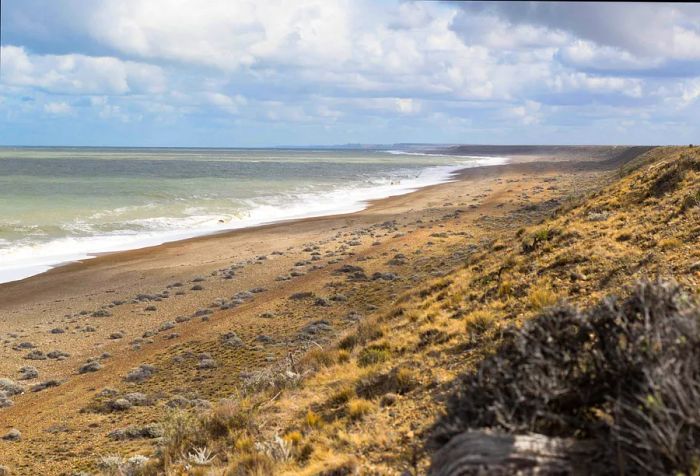 A wild beach on a cloudy day at the Puerto San Julián Peninsula Provincial Reserve, Argentina.